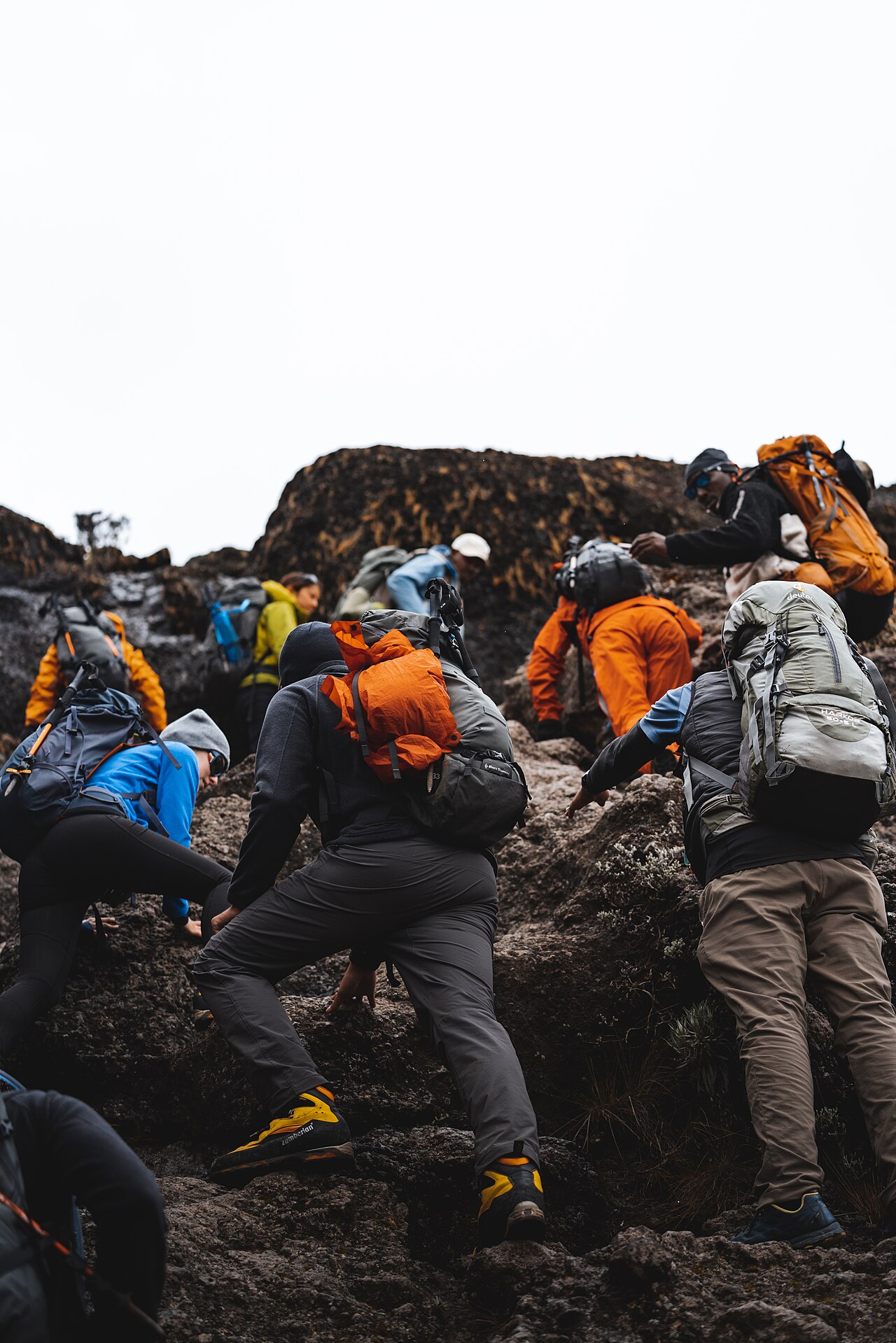 Climbers on the Barranco Wall section of Kilimanjaro