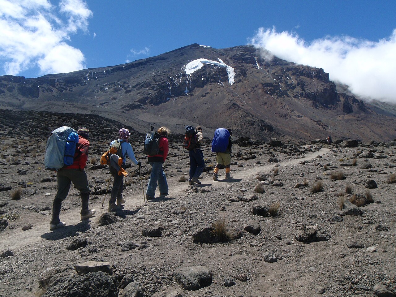Hikers climbing the trail towards Lava Tower on Mount Kilimanjaro