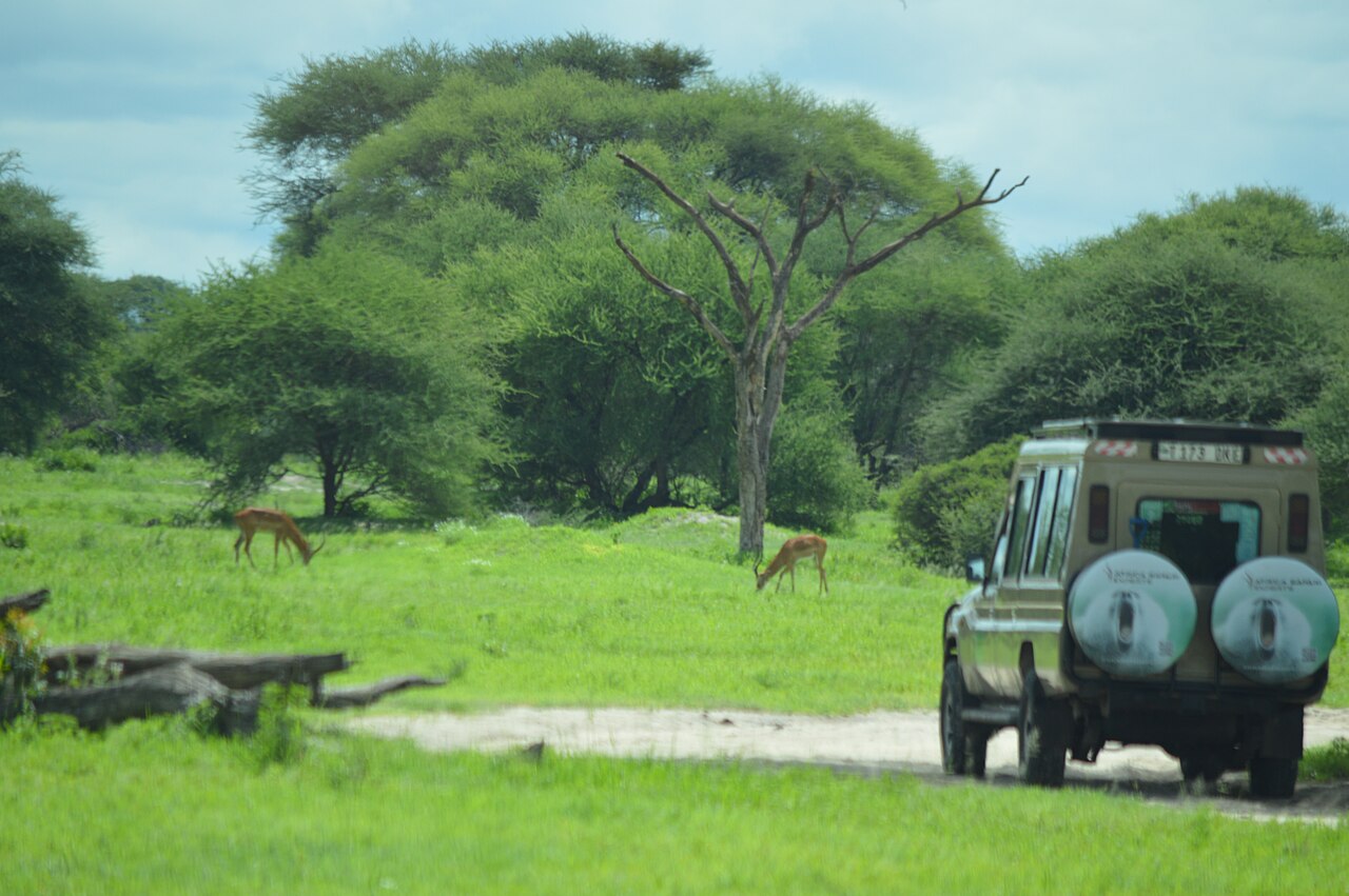 Travellers on a game drive in Ngorongoro, Tanzania