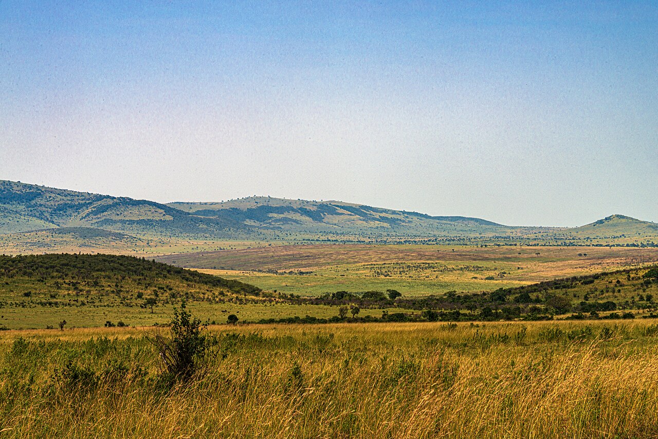 Savanna landscape between Maasai Mara in Kenya and Serengeti in Tanzania